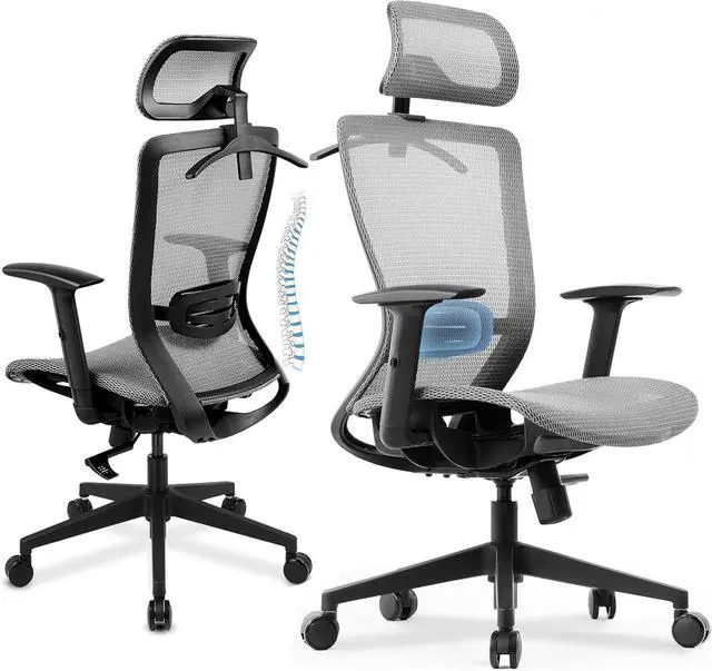 Main image of COMHOMA Ergonomic Office Chair, Executive Mesh Computer Desk Chair High Back Adjustable Armrest and 3D Lumbar Support, Heavy Duty Office Chair with 3D Headrest & Reclines, ErgoPlus-E53, Gray