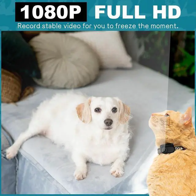 Alt view image 2 of 7 - Mini Body Camera, 1080p Wearable Thumb Size Cam with Charging Case, Pet Camera, POV Cam with Motion Detection, Photo Shooting, Video Recording for Cat, Dog, Sport, Waterproof, Black