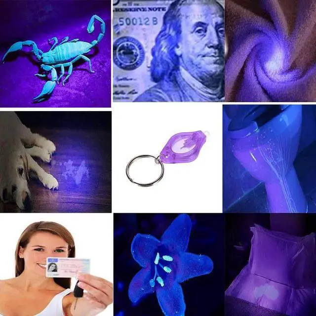 Alt view image 2 of 5 - 395nm Purple UV LED Mini Keychain light LED Flashlight Torch Black light Lamp Id Currency Passports Cat Dog pet urine Detector