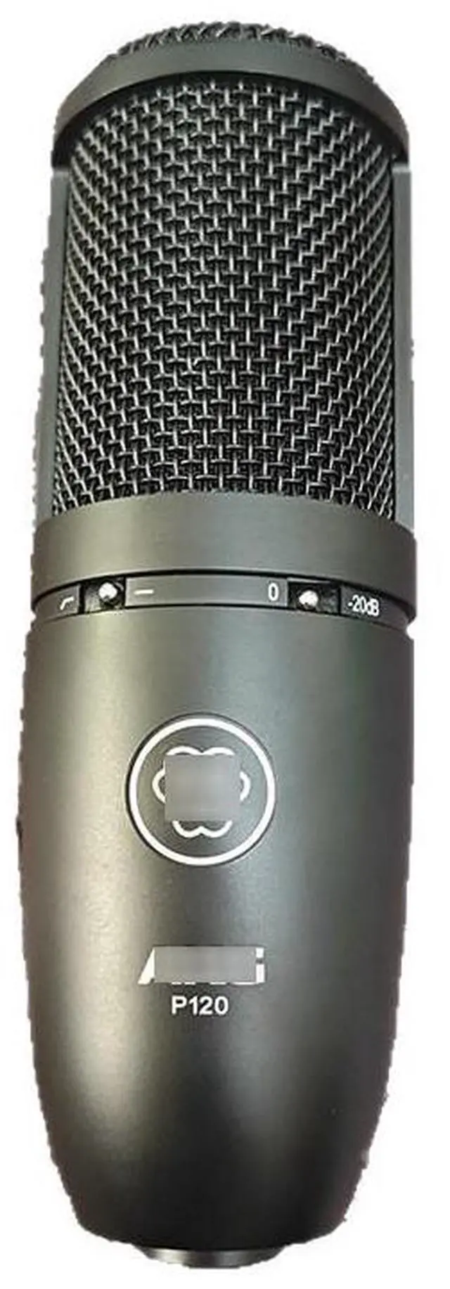 Main image of P120 Capacitor Microphone Recording Studio Host Live Voice Book Special Large-Diameter Diaphragm Sound Card Microphone