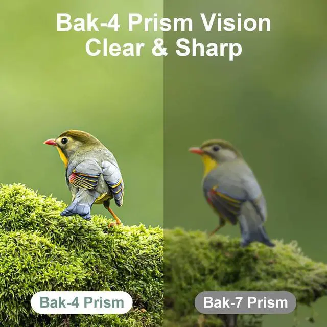 Alt view image 2 of 7 - 12X25 Mini Pocket Binoculars for Adults Kids, Small Compact Binoculars for Bird Watching, Opera Concert