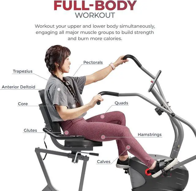 Alt view image 3 of 7 - Sunny Health & Fitness Compact Performance Recumbent Bike with Dual Motion Arm Exercisers, Quick Adjust Seat & Optional Exclusive SunnyFit App Enhanced Bluetooth Connectivity