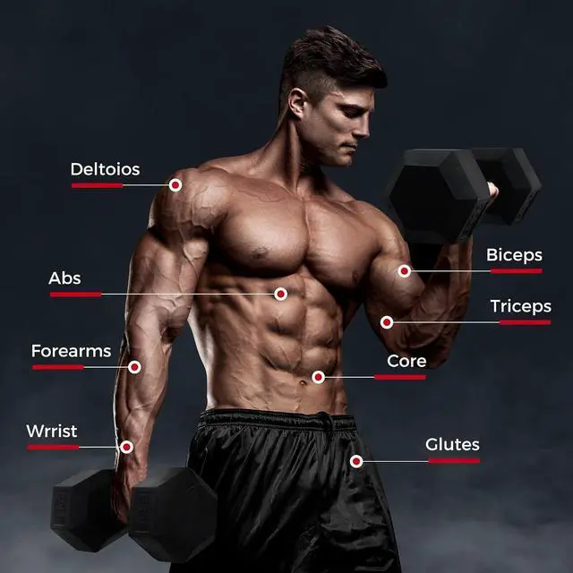 Alt view image 4 of 7 - RitFit Rubber Coated Hex Dumbbell Weights Set for Home Gym