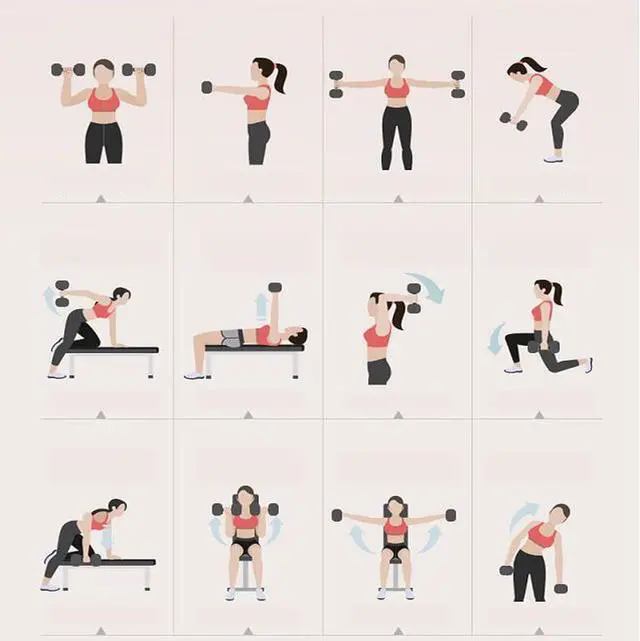 Alt view image 7 of 7 - Adjustable Dumbbells, Weights Dumbbells Set for Women Patent: D988438S