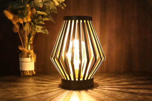 JHY DESIGN 8.7''High Metal Cage Decorative Lamp Battery Powered Cordless  Warm White Light with LED E…See more JHY DESIGN 8.7''High Metal Cage