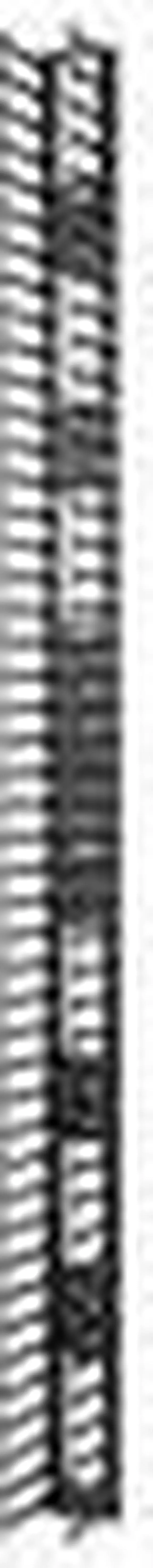 Alt view image 10 of 14 - 2QTY VERTICAL CABLE MANAGER FOR