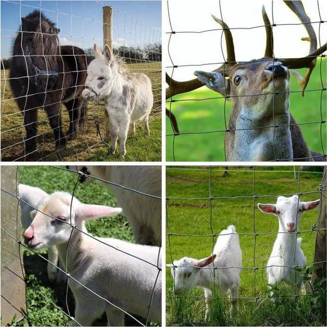 Alt view image 4 of 7 - FstNiceTed Farm Fence 3ft x 164ft 14Gauge Heavy Zinc Coating Cattle Fence,Galvanized Field Wire Fencing Wire Fencing for Yard Livestock & Animals Protection