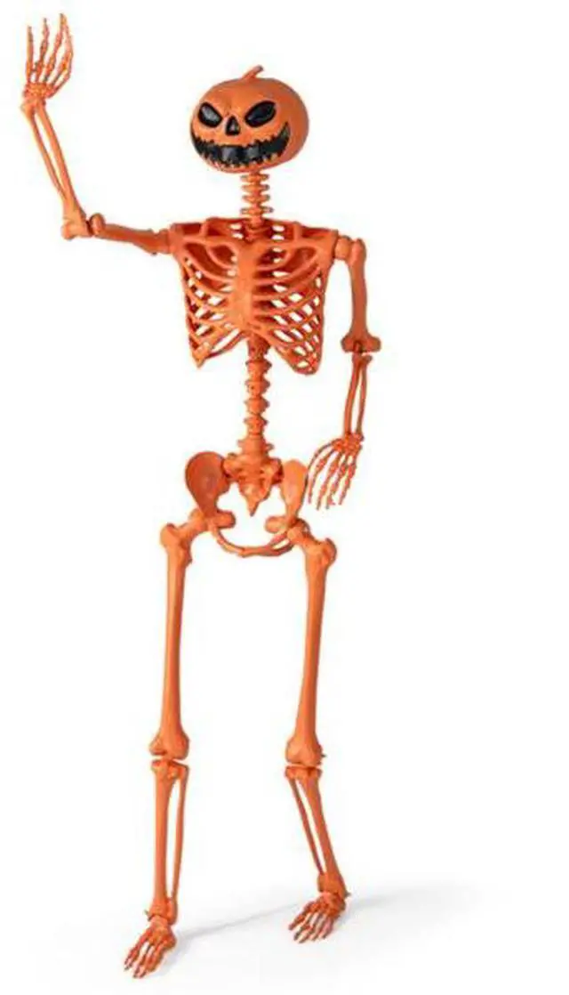 Alt view image 2 of 7 - FstNiceTed 5.5ft Life-Size Halloween Skeleton with Pumpkin Head - Orange Color, Fully Poseable Joints (Jaw/Shoulders/Knees), PP+PE Material
