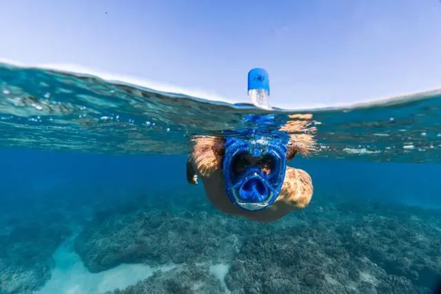 Alt view image 5 of 5 - Adult Aire Free Breathing Swimming Diving Snorkel Mask with GoPro Mount (Blue)