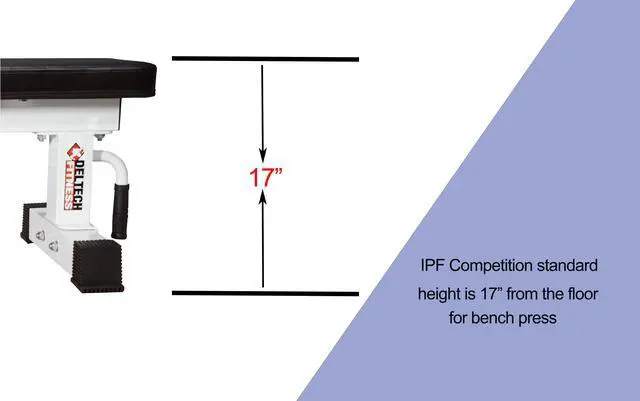 Alt view image 2 of 7 - Deltech Fitness DF8000 - 1000 LBS Capacity Exercise Back Bench Fitness Station for Strength Training- Dumbbell Training