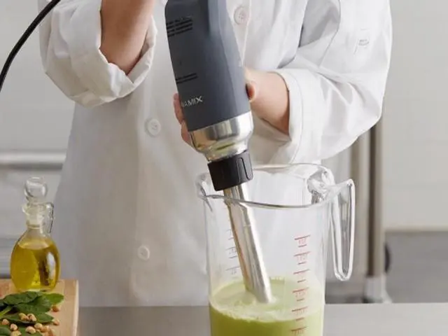 Main image of New Commercial Immersion Blender 350w+300mm