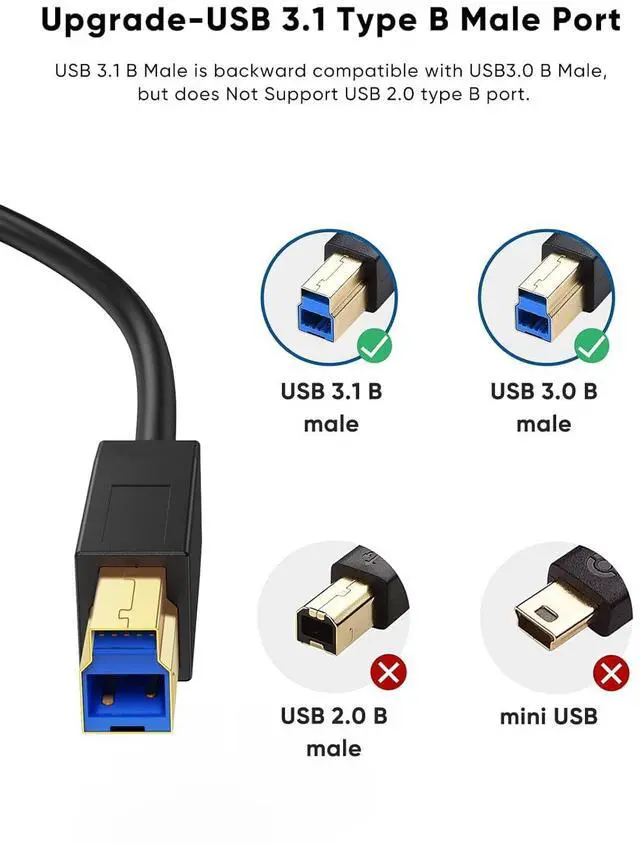 Alt view image 3 of 7 - USB C to USB B 3.1 Cable 6FT, 5Gbps USB Type B to USB C Cable for Thunderbolt 3 Host MacBook Pro Air, External Hard Drive, Docking Station, Scanner, Black,1.8M