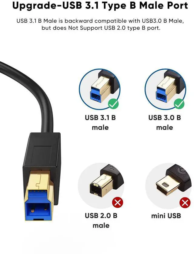 Alt view image 3 of 7 - USB C to USB B 3.1 Cable 4FT, 10Gbps USB Type B to USB C Cable Compatible with Thunderbolt 3 Host MacBook, External Hard Drive, Docking Station, Scanner