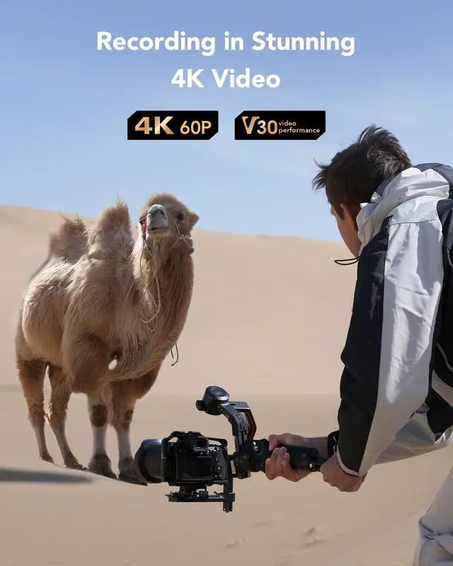 Alt view image 4 of 7 - Lexar Professional Silver SD Card 256GB, Up to 205MB/s Read, 140MB/s Write, SDXC UHS-I Memory Card, Class 10, U3, V30, SD Card for Professional Photographers, Videographers, Enthusiasts