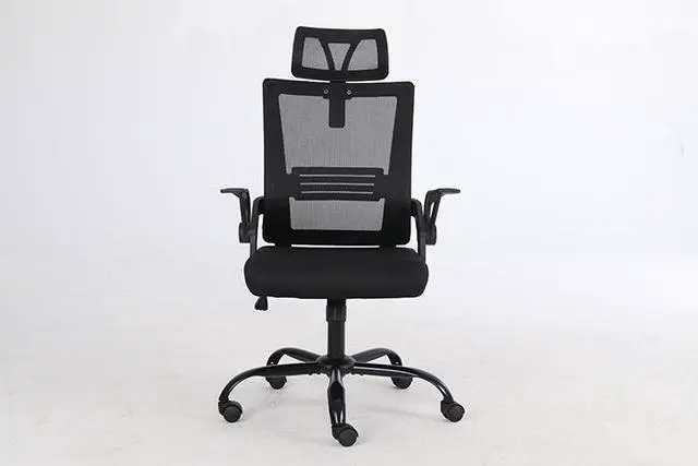 Main image of QIGRIF furniture Store Office Chair, Ergonomic Office Chair High Back Mesh Office Chair with Padded Lumbar Support.