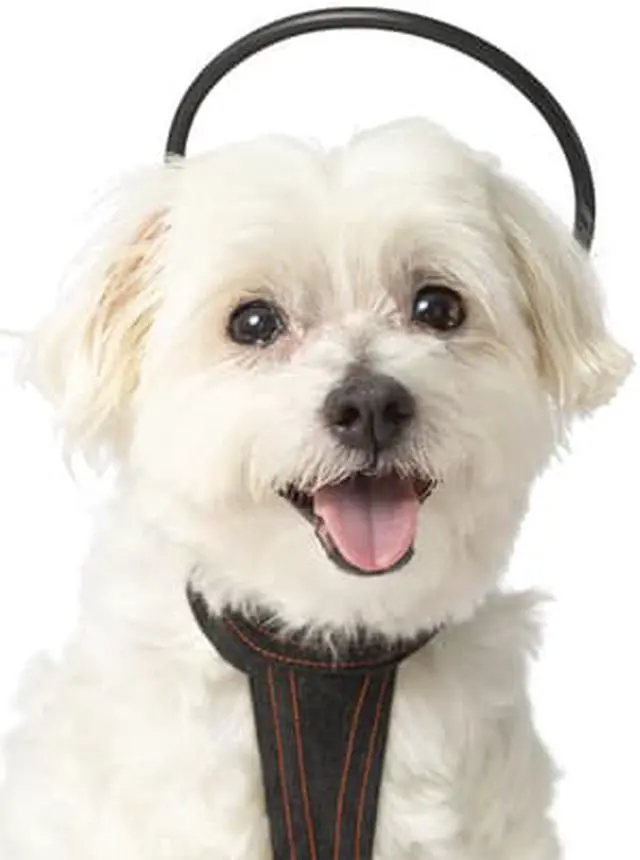 Alt view image 2 of 4 - Calmer Canine Convenience Vest Only Medium