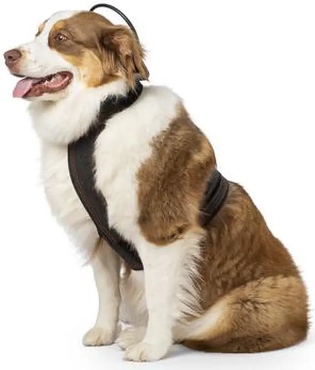 Alt view image 4 of 4 - Calmer Canine Anxiety Treatment System Bundle
