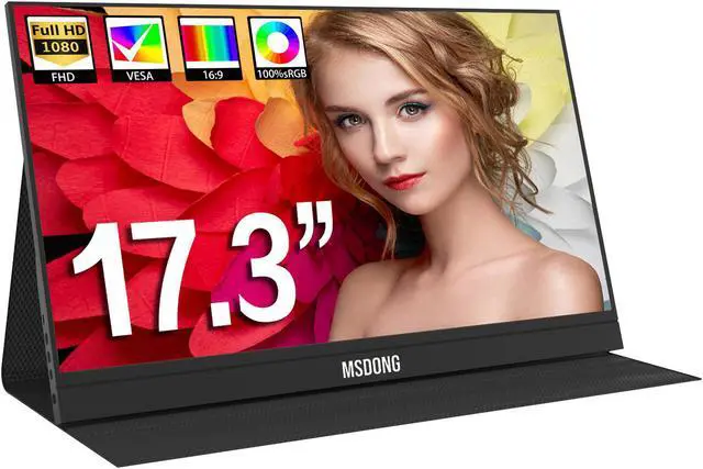 Main image of 17.3 inch Portable Monitor Ultra Slim - Mini HDMI USB Type-C Monitor,1920 x 1080p,Built-in Speaker,IPS LCD Panel,Compatible with PS4/Switch/PC/Mac
