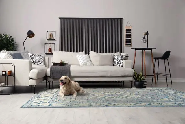 Main image of Hand Knotted Wool Gray Traditional Oriental Heriz Rug, Made in India