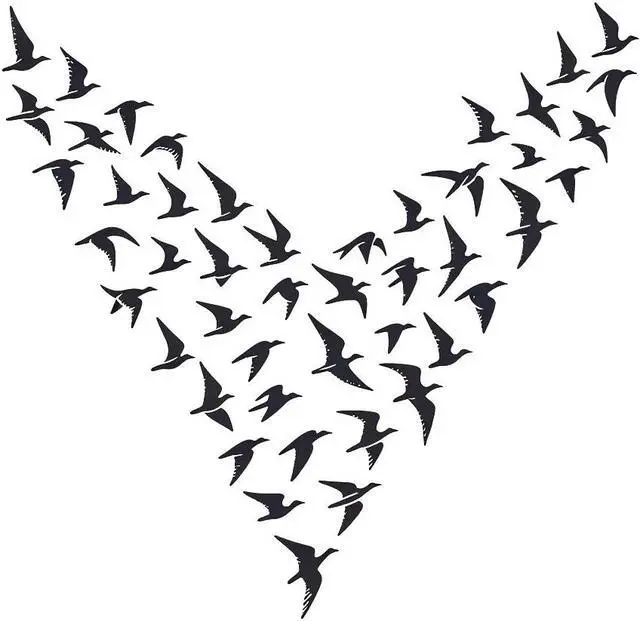 Main image of Bird Birds Temporary Tattoos Unique Tattoo Hands Party Favors For Kids Fake Face Tattoos 6 Pcs3.7 x 3.7 inches