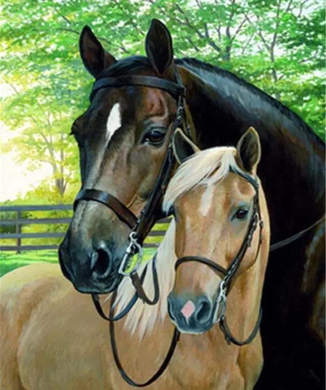 Main image of Horse and Colt Paint by Numbers (40x50cm no frame)
