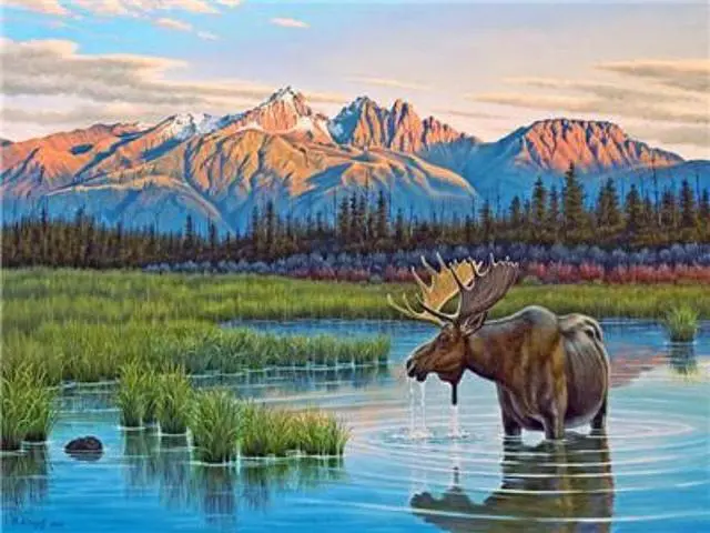 Main image of Moose Paint By Numbers (30x40cm No Frame)