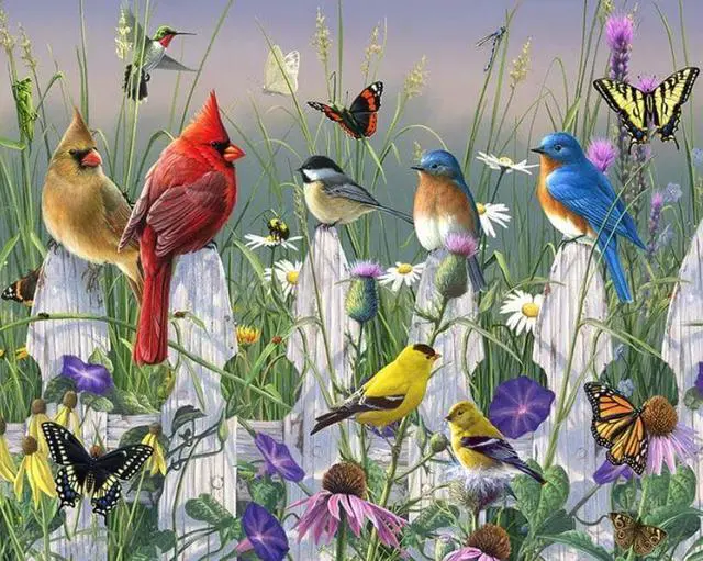 Main image of Birds and Butterflies Paint By Numbers (30x40cm No Frame)