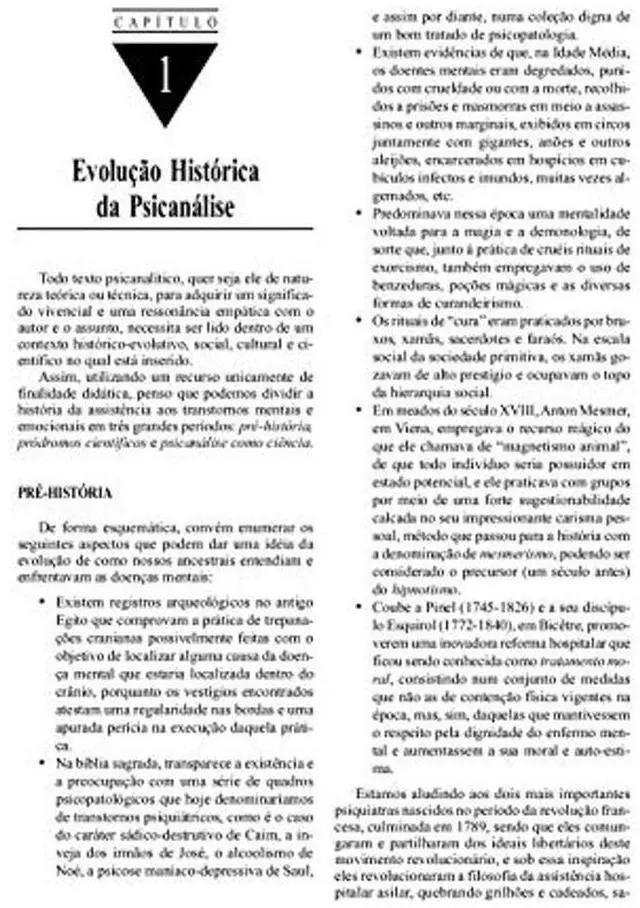 Alt view image 4 of 5 - Fundamentos Psicanaliticos: Teoria, Tecnica e Clinica