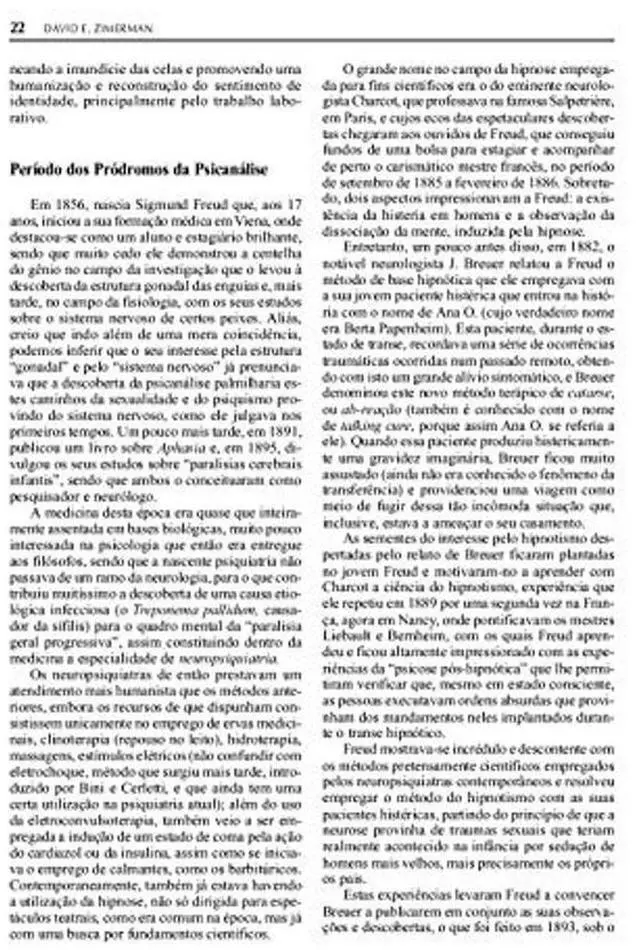 Alt view image 5 of 5 - Fundamentos Psicanaliticos: Teoria, Tecnica e Clinica