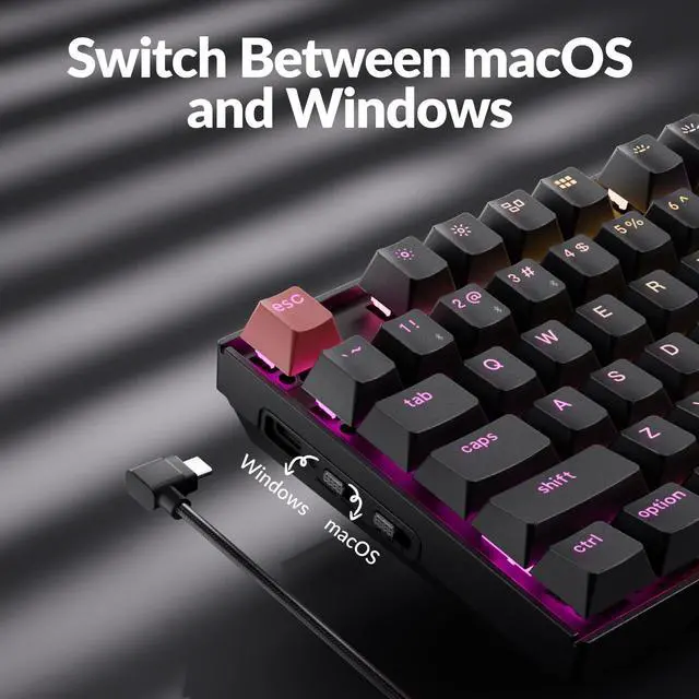 Alt view image 3 of 5 - Keychron K8 Version 2 TKL Custom Wireless Mechanical Keyboard, QMK Programmable Bluetooth 5.2/Wired, RGB Backlit with Shine-Through PBT Keycaps, Super Red Switch for Mac Windows Linux