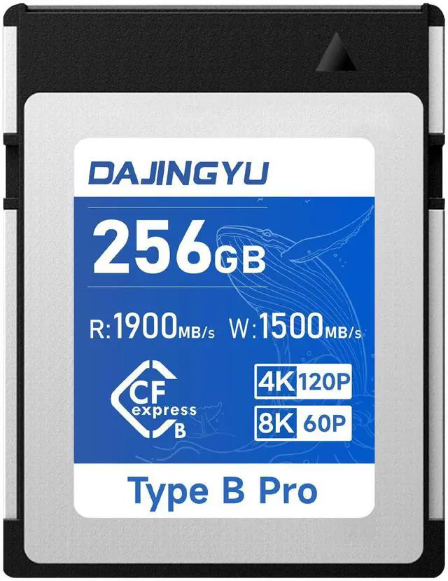 Main image of DAJINGYU 256GB CFexpress Type B Memory Card Up to 1900/1500 MB/s Read/Write- Shooting Video and Photo 4K/120P RAW Compatible with Nikon Canon panasonic Fujifilm Camera