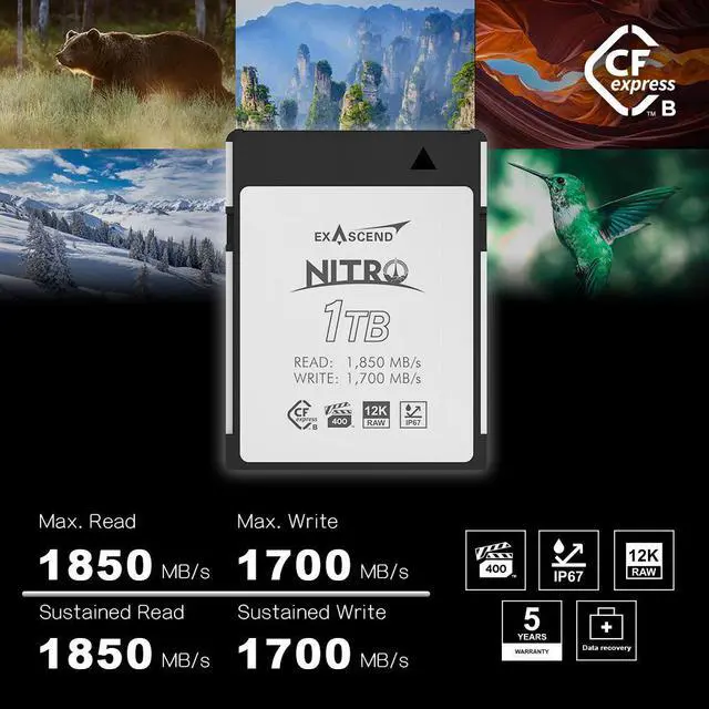 Alt view image 2 of 5 - Exascend 1TB Nitro CFexpress Type B Card, VPG400-Certified, IP67-Certified, Sustained Write 1,700MB/s, Compatible with Canon, Nikon, Panasonic and Other Cameras.