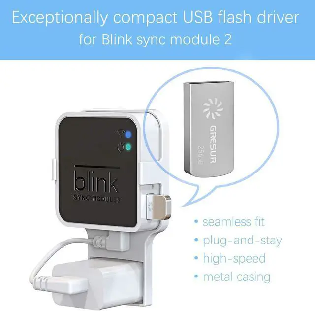 Blink Sync Module Usb lupon.gov.ph