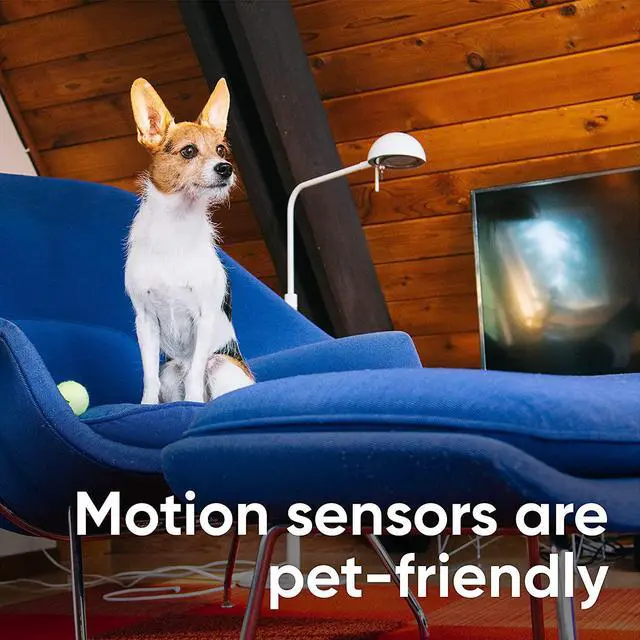Alt view image 7 of 7 - Wyze Home Security Core Kit: Hub, Keypad, Motion Sensor, Entry Sensors (x2); Compatible w/ Wyze Cam, Leak & Climate Sensors; 3 Mo. of 24/7 Professional Monitoring Service Incl., Subscription Required