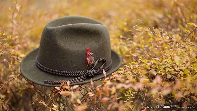 Alt view image 16 of 20 - Sony 85mm f/1.8 FE Lens v2 SEL85F18/2