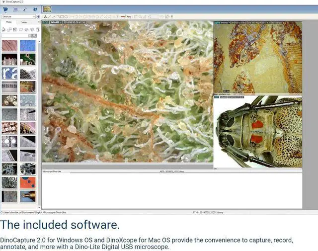 Alt view image 5 of 7 - USB Digital Microscope AM3111-0.3MP, 10x - 50x, 230x Optical Magnification, 8 LEDs