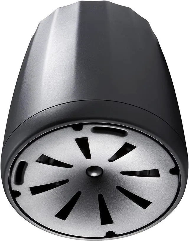 Alt view image 2 of 4 - C65P/T Compact Full-Range Hanging Pendant Speaker, Black, Sold as Pair