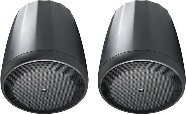 Main image of C65P/T Compact Full-Range Hanging Pendant Speaker, Black, Sold as Pair
