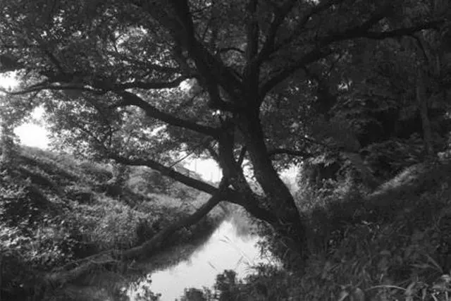 Alt view image 18 of 19 - HOYA B55RM72 55mm RM-72 Infrared Filter