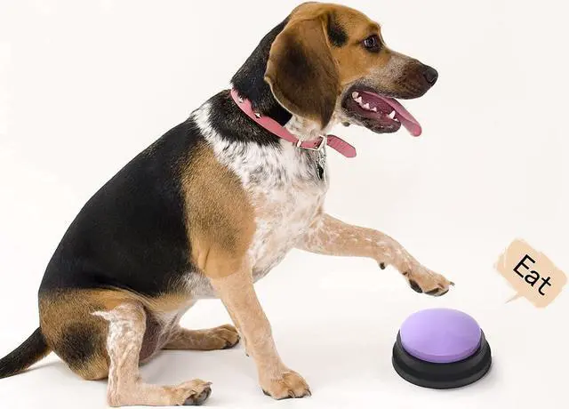 Alt view image 2 of 7 - Voice Recording Button, Dog Buttons for Communication Pet Training Buzzer, 30 Second Record & Playback, Funny Gift for Study Office Home 4 Packs (Rose Red + Dark Blue + Green + Orange)