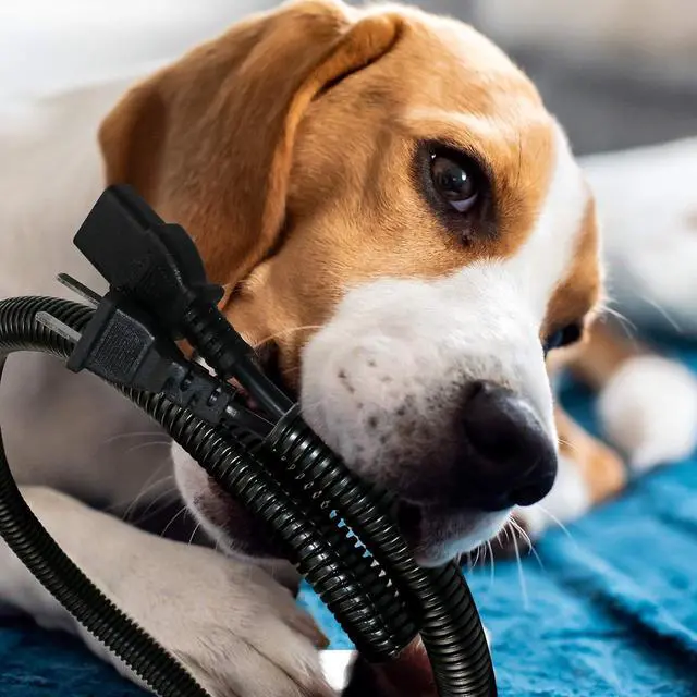 Alt view image 3 of 6 - 30 ft Dog Cat Cord Protector Electric Wires Covers Wire Loom Tubing Protect Wires from Rabbits, Cats and Other Pets - Outside Diameter 13mm