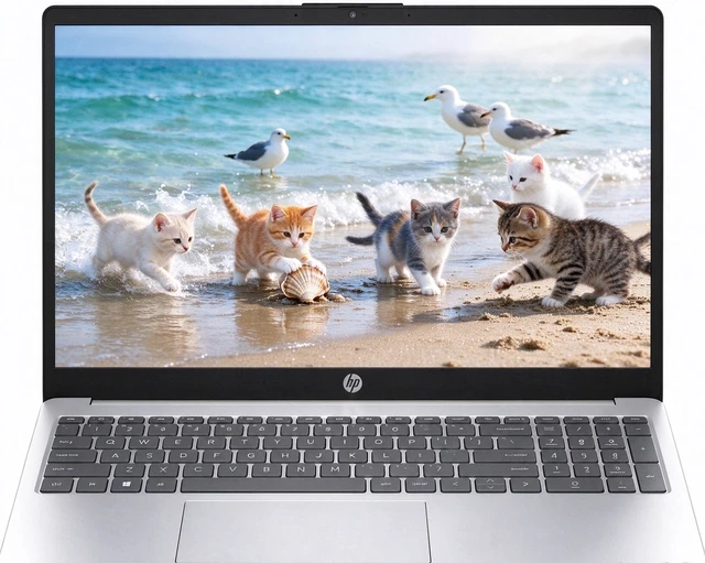 Main image of HP 15 Laptop, 15.6" FHD Touchscreen, AMD Ryzen 5 7530U 6 Cores Processor, AMD Radeon Graphics, WiFi 6, Bluetooth 5.4, Numeric Keypad, 64GB DDR4 4TB PCIe SSD, Windows 11 Pro