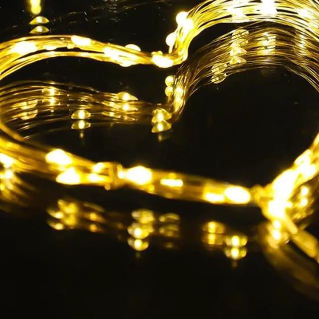 Alt view image 4 of 5 - 20 LED Mini String Lights 4 Functions, Battery Included Warm White