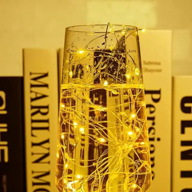 Alt view image 5 of 5 - 20 LED Mini String Lights 4 Functions, Battery Included Warm White