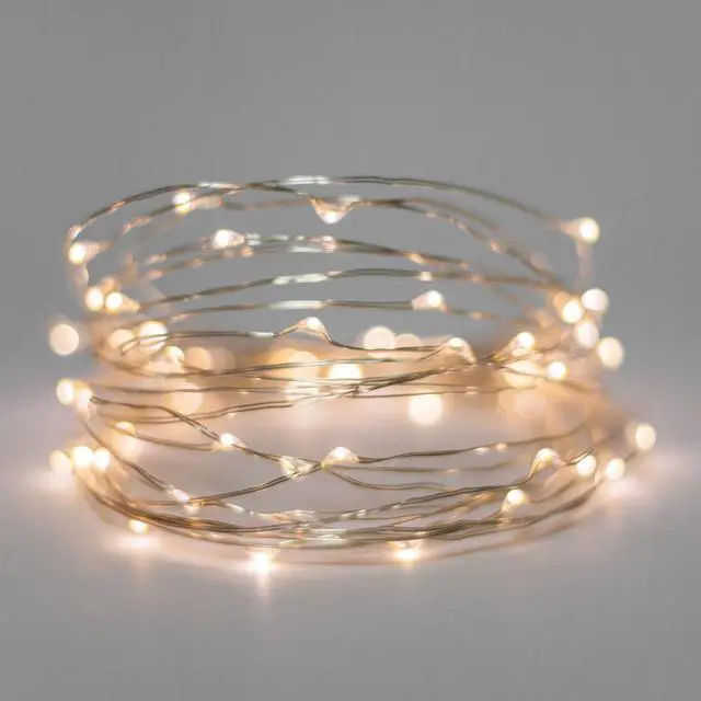 Main image of 20 LED Silver Copper Fairy Lights Battery Operated Warm White
