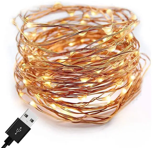 Alt view image 5 of 5 - 30 LED Silver Copper Fairy String Lights - Battery Operated Copper/Warm White