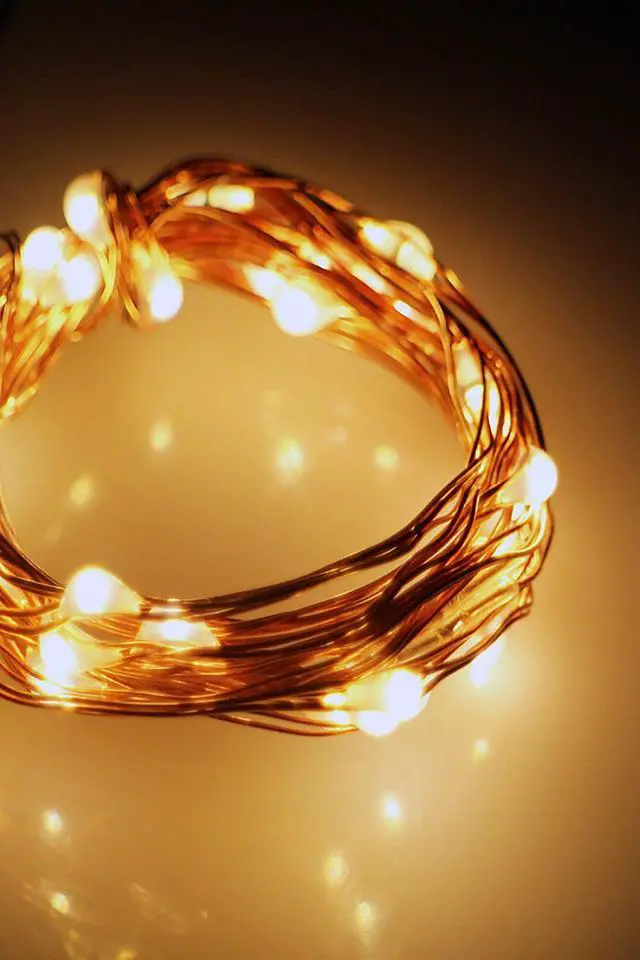 Main image of 30 LED Silver Copper Fairy String Lights - Battery Operated Copper/Warm White