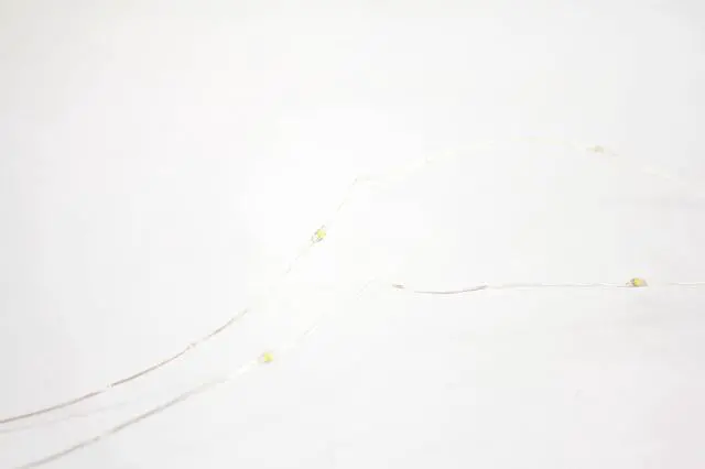 Alt view image 2 of 3 - 50 LED White Fairy String Lights - Battery Operated with Timer