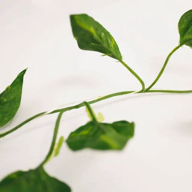 Main image of 20 LED Decorative Ivy String Lights - Battery Operated