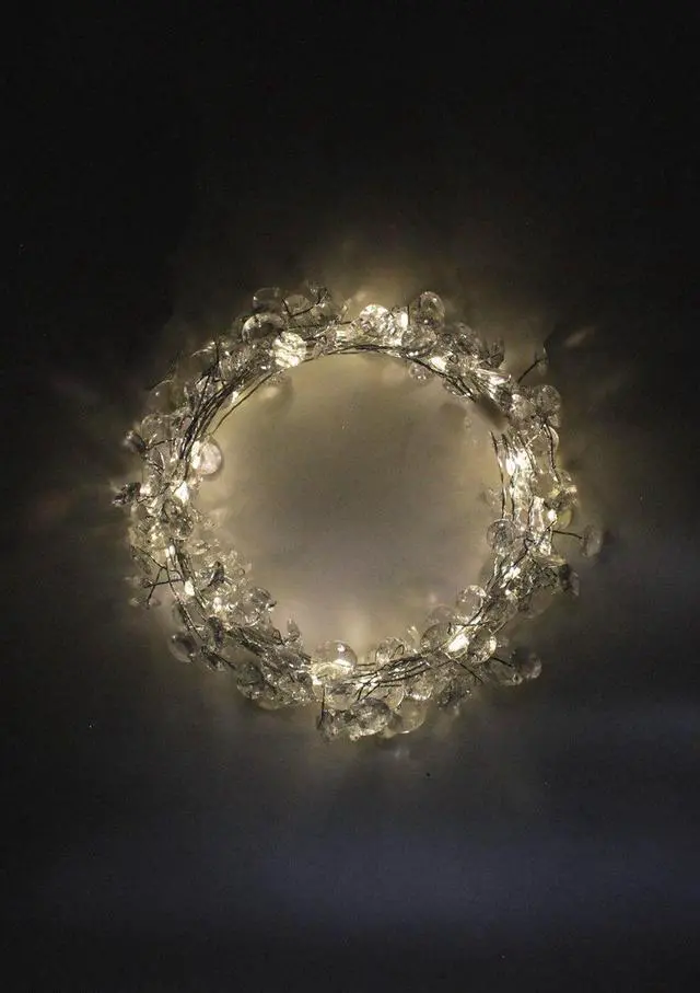 Alt view image 5 of 5 - 40 LED Crystal Gem Stone Fairy String Lights